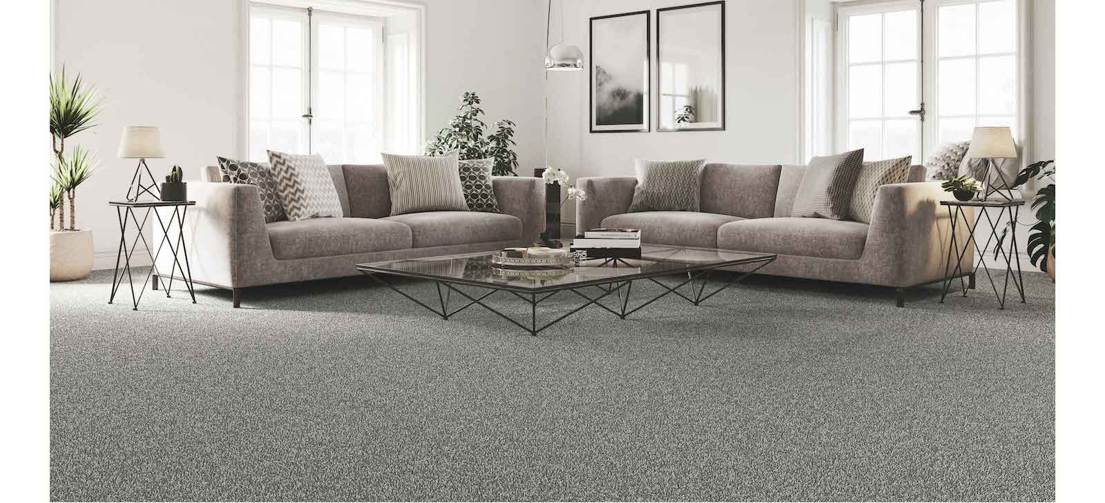 Spacious living room set with grey carpet