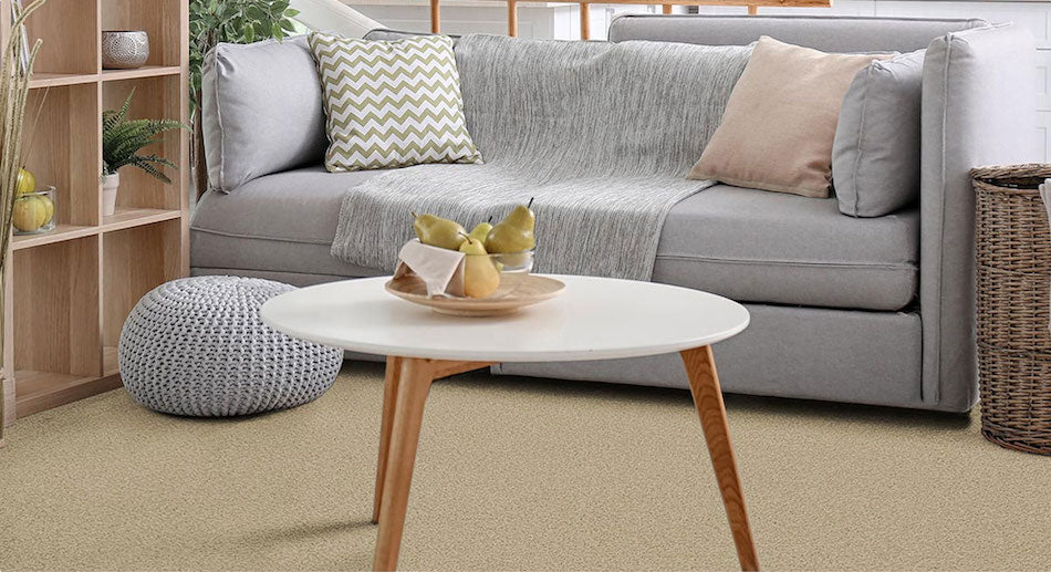 Living room beige carpet
