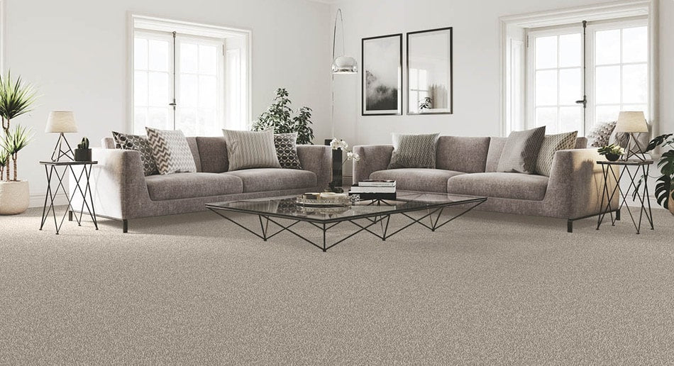 Neutral carpet living room