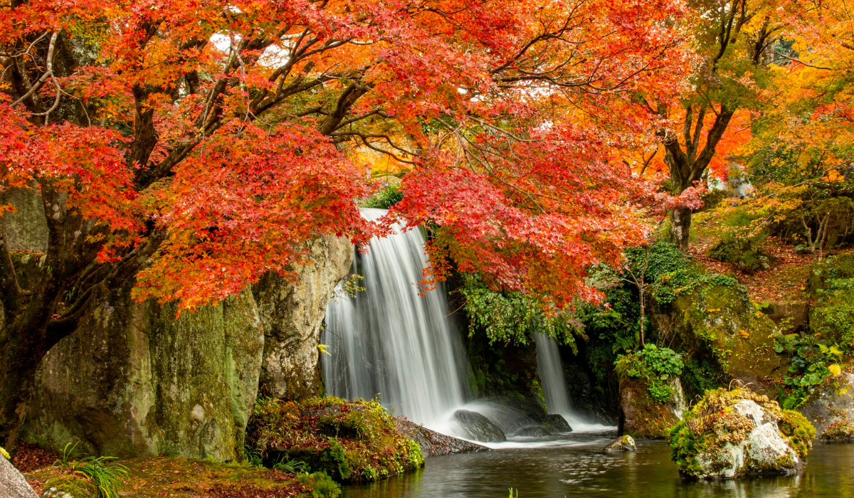 forêt-automne-cascade d'eau