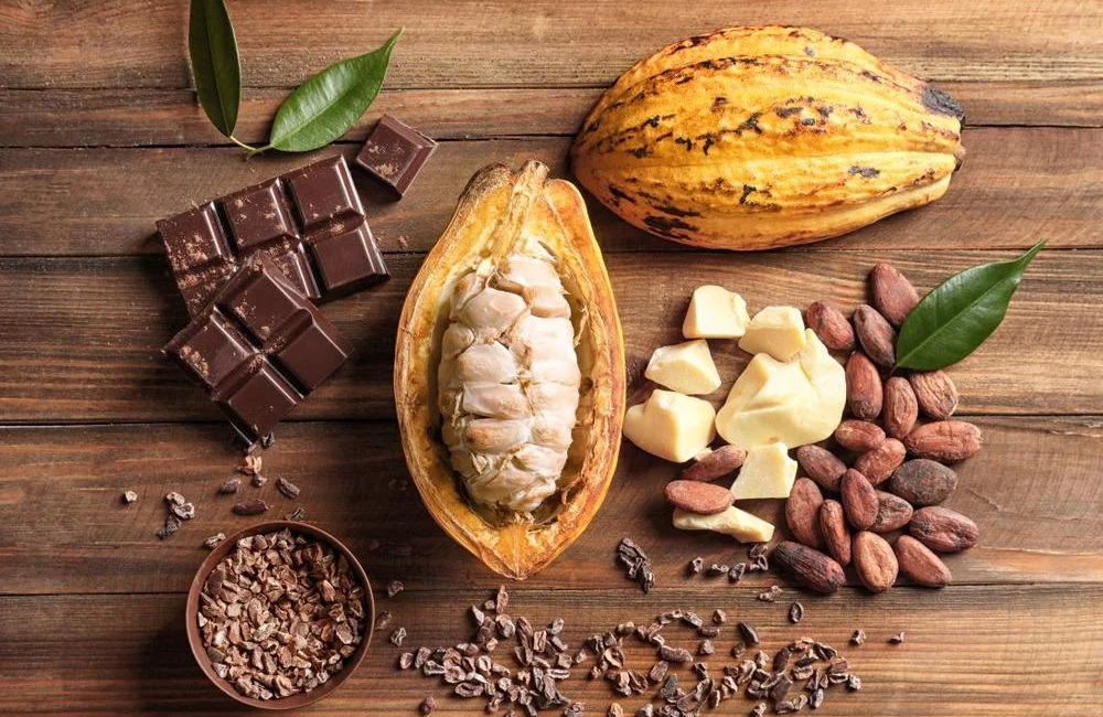 cacao-sacré-fèves-bienfaits-santé