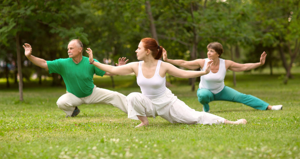 tai-chi-chuan-pratique-nature