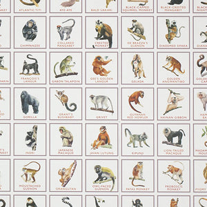 Monkey Bingo Game