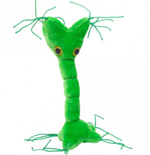 microbe soft toys