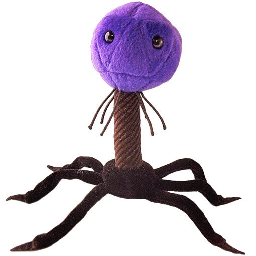 microbe soft toys