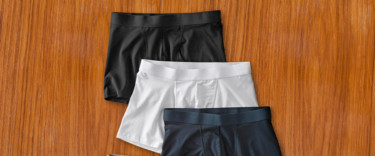 5 Best Boxer Briefs For Men