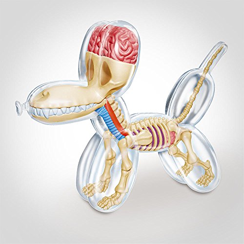 balloon dog anatomy by jason freeny