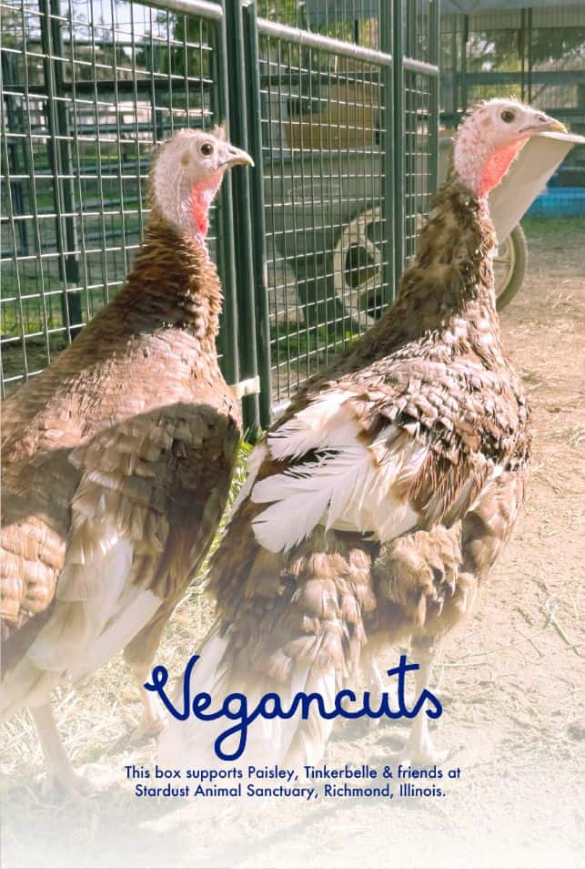 paisley and tinkerbell at Stardust Animal Sanctuary | Vegancuts Donation Program