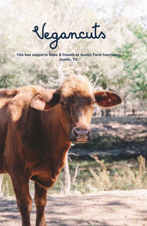 Reba at Austin Farm Sanctuary | Vegancuts Donation Program