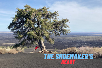The shoemaker's heart