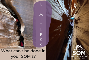 Blog: What can't be done in your SOMs?