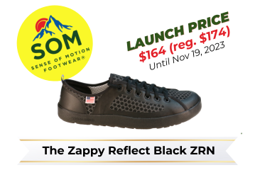 Zappy Reflect Black Launch Price