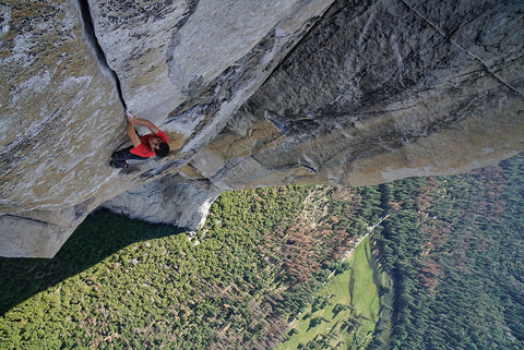 Alex Honnold free solo