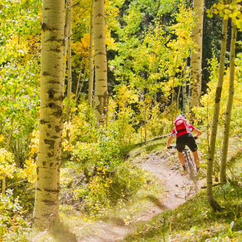 Explore nature on a bicycle wearing SOM's barefoot shoes