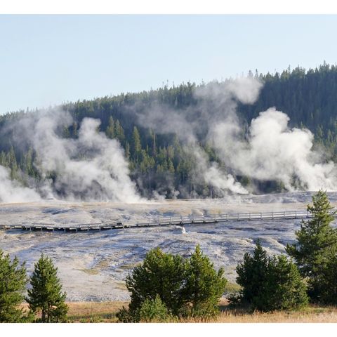 geysers at yellowstone