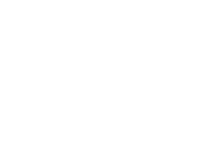 Items $25 and Under