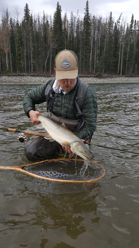 Two-Handed Fly Fishing For Bull Trout: Setup, Methods, Flies