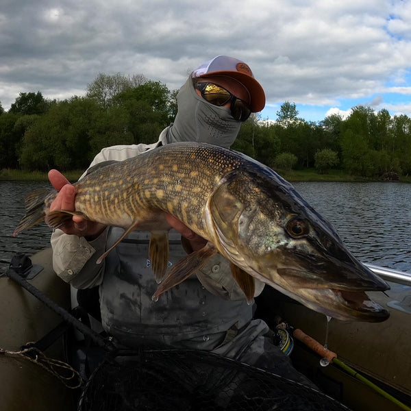 FLY FISHING for PERCH (and Pike) - Float Tubin' using a Deeper Sonar 