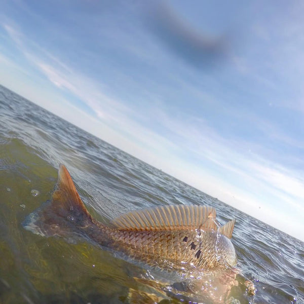 chris siess redfish fly fishing kayak