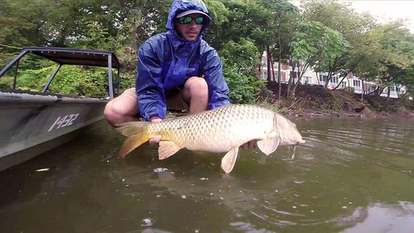 3 things you must know to chase carp on the fly. - Flymen Fishing