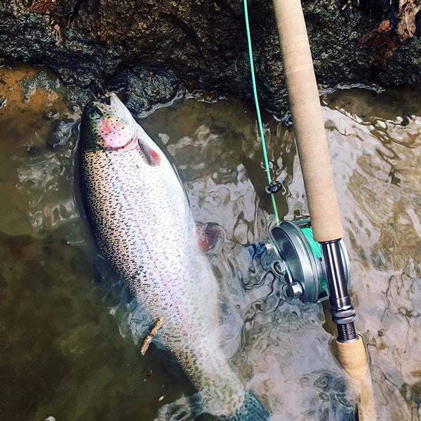 One Hand One Arm Adaptive Fishing Big Rainbow Trout 