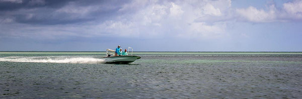 Bahamas fly fishing guide