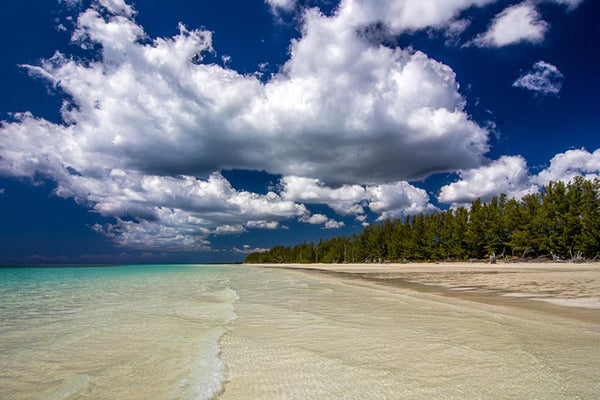 Bahamas beach fly fishing