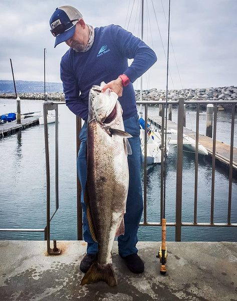 Fly fishing world record white sea bass Al Quattrocchi