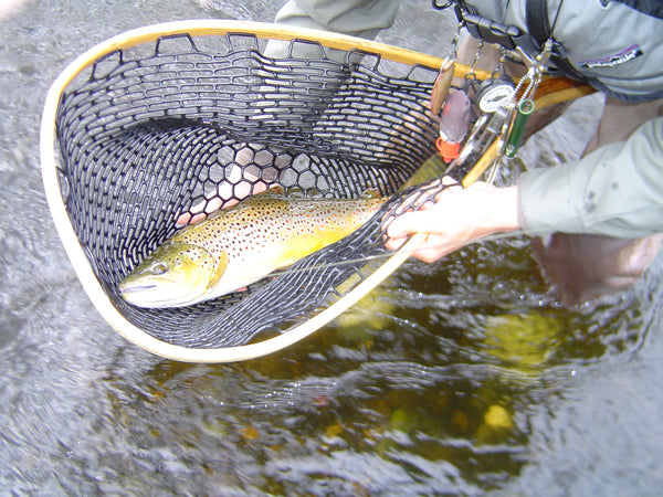 fly fishing trout maine