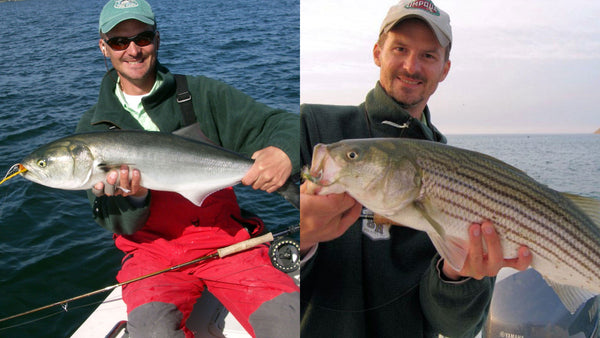 8 Scents to Attract Striped Bass - On The Water