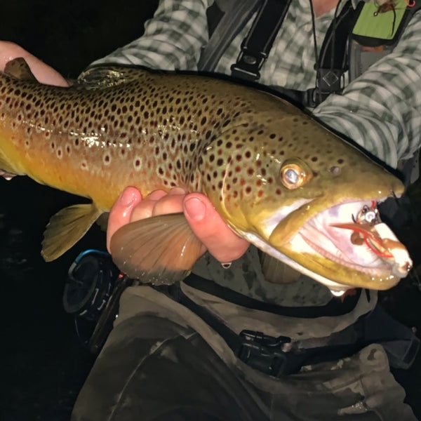 Drifting in the Stream: A Guide to Fly Fishing for Trout