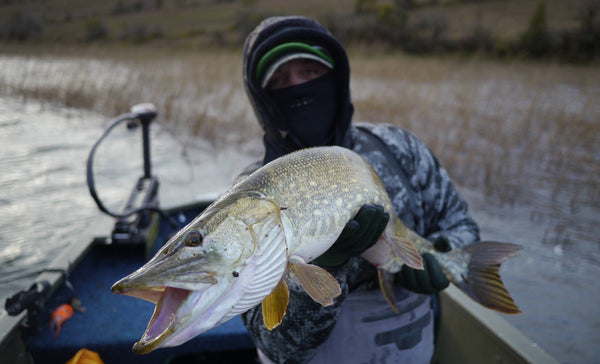 Winter Pike Fly Fishing: Keys to Cold Water Success - Flymen
