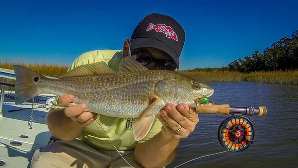 Field Guide: Fly Fishing for Redfish