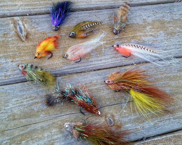 Fly fishing Streamers