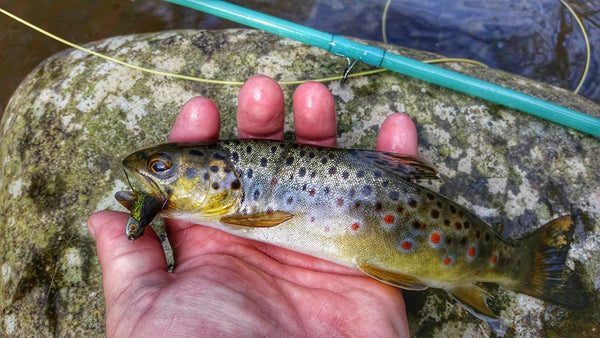 Fish-Skull Sculpin Helmet trout fly fishing