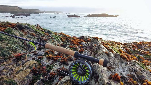 fly fishing tide pools