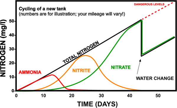 New Aquarium Cycling Diagram