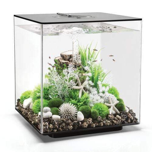 biOrb Cube 60L / 16 Gallon All-in-One Acrylic Aquarium Kit with Multicolor Light Black
