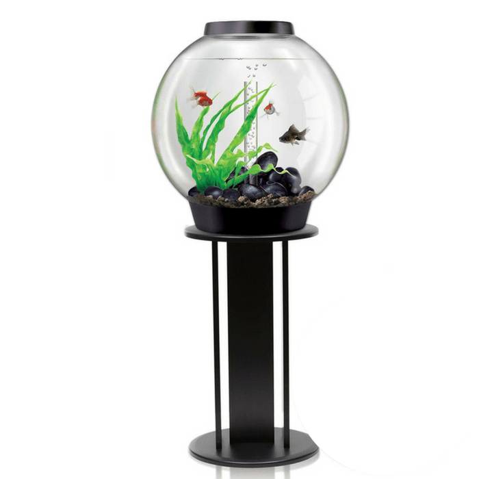 Basistheorie beetje agentschap Executive Aquarium Stand for biOrb 15, 30, 60 & biUbe - Black – Dream Fish  Tanks