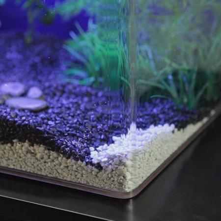 de elite partij wolf Clear for Life Rectangle 40 Gallon Acrylic Aquarium - Fresh or Saltwat –  Dream Fish Tanks
