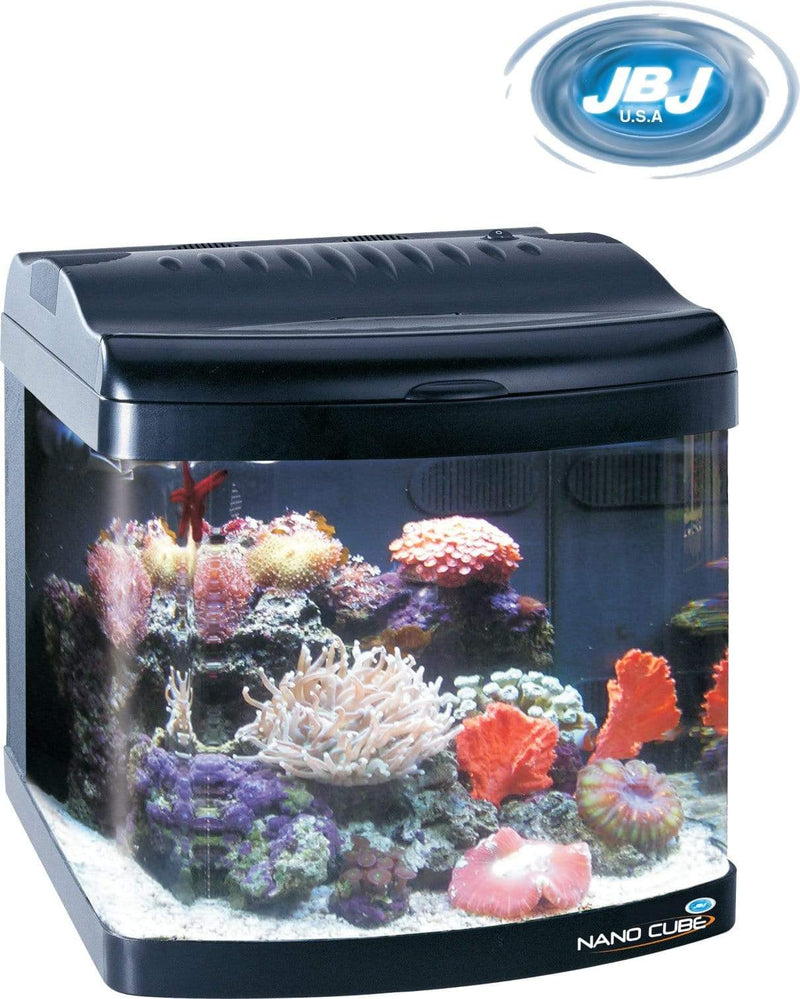 dream aquarium tanks