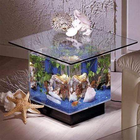 midwest tropical modern fish tank