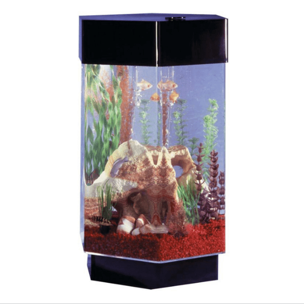 midwest tropical modern fish tank