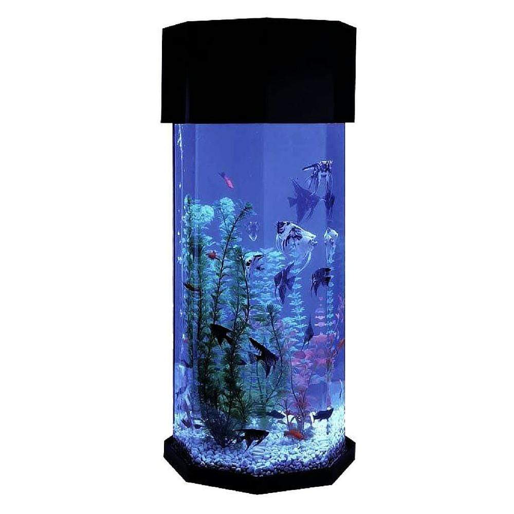 modern 10 gallon fish tank