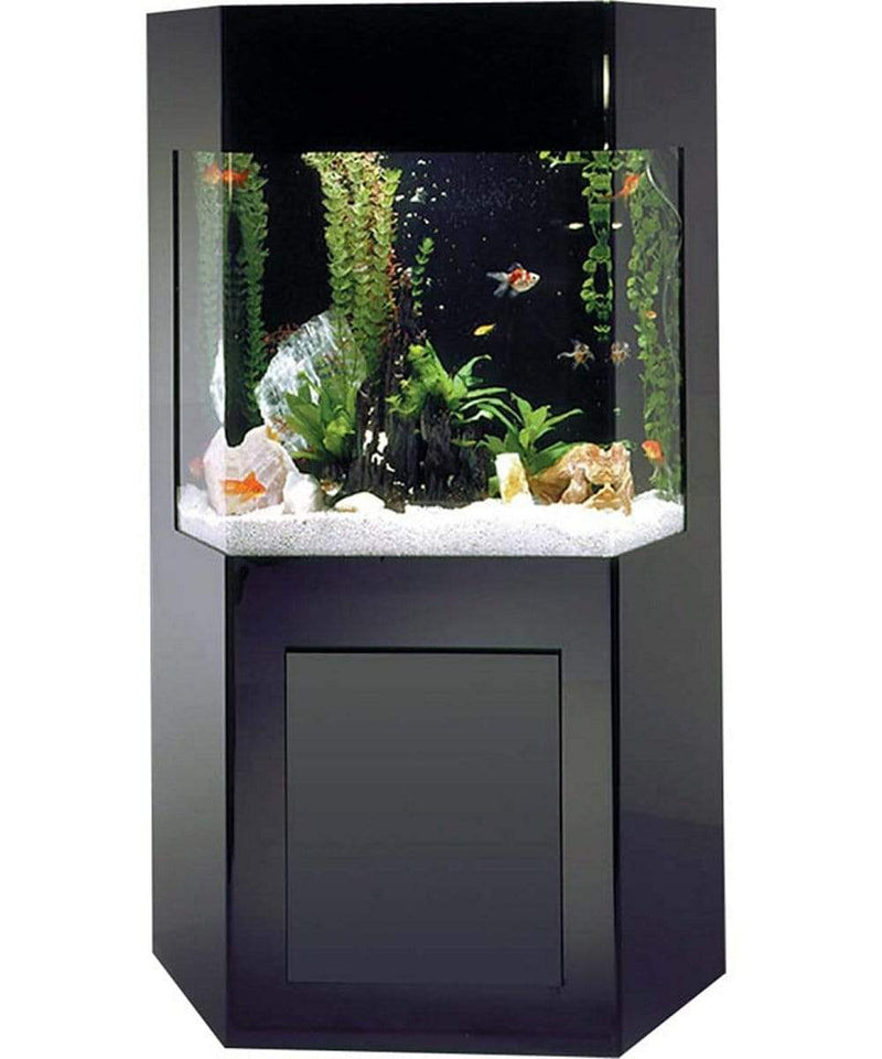 Gemaakt om te onthouden beginnen Kamer Midwest Tropical Shadow Box AquaCustom Aquarium - 50 Gallon – Dream Fish  Tanks