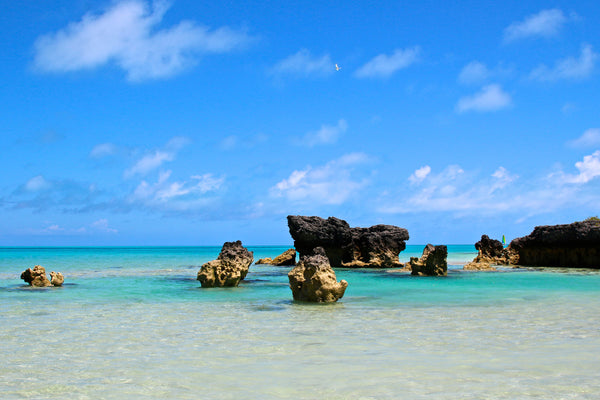 best beaches to visit in Bermuda