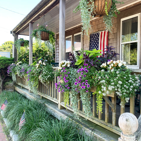 flower window box in Nantucket 