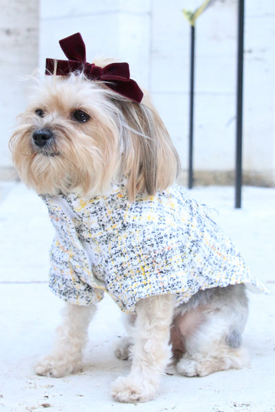 couture boucle dog jacket made in nyc