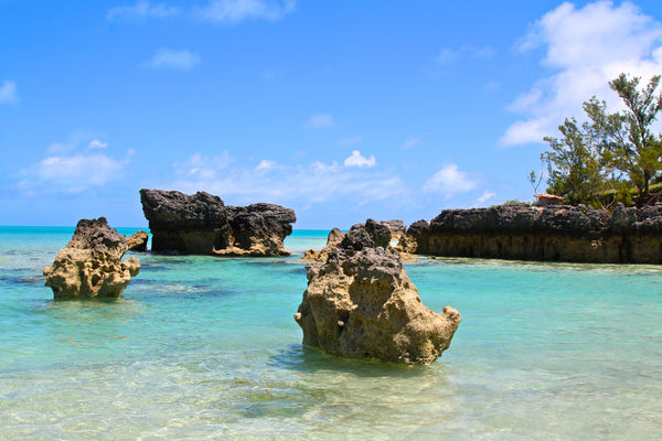 things to do in Bermuda