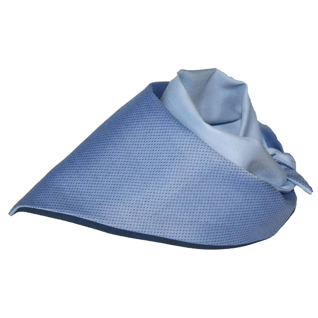 blue dog bandana